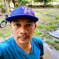 Dariboi Mondia
