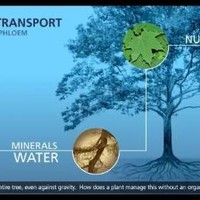 Jesus A Lopez Del Castillo