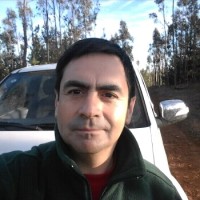 Juan Muñoz
