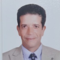 Mohamed Fathy Bassuony Pfmp® , Pgmp® , Pmp® , Rmp® , Acp® , Pba® , P3O®