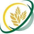 KRIAZ LLP