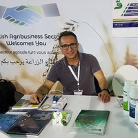 Tayfur Ardıç