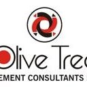 Olive Tree