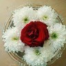 Deepu Reddy