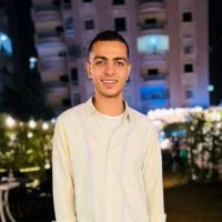 Mostafa Amer