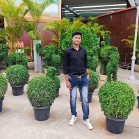 Linesh Lanjewar