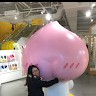 Ho Candy