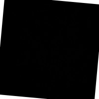 Salah-Eddine Belafkih