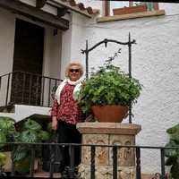 M Dolores Tormos Bosca