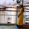 M Vinutha