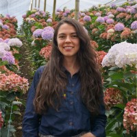 Tatiana Rios Echeverri