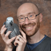 Frédéric Vlaemynck