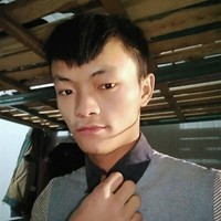 向云鹏
