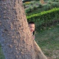 张汉忠