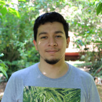 Murilo Mothsin