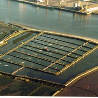 José Eduardo Ribeiro Rocha