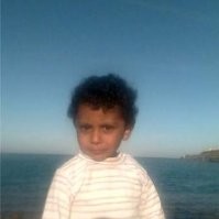 Sameh Rehan