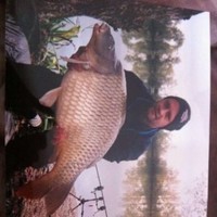 Jay Nutter Silverbac Brooks