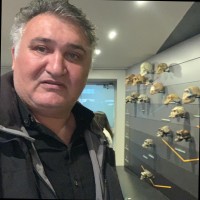 Mehmet Ozen