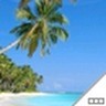 Jayaseelan T