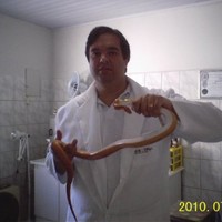 Clínica Exóticos