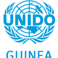 Onudi Guinée