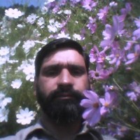 M Basharat Khan