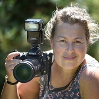 Susan Windmiller