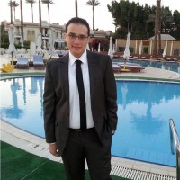 Amr Alnaggar