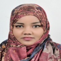 Aden Hassan M Elsanosi