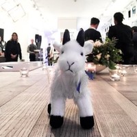 Gareth Goat
