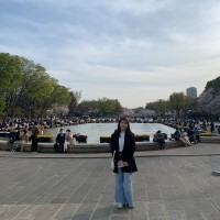 Yuqing Wang