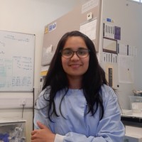 Harshita Verma