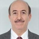 Luis Alberto Lamadrid M.