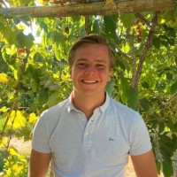 Jilles Verbeek