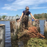 Christiana Pollack, GISP, CFM