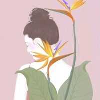 Andy Liu