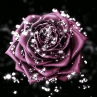 Eman Ashraf