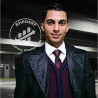 Eng.Mohamed Kalloub