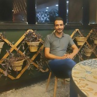 MohammadReza Esmaeeli