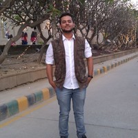 Vikram Palan