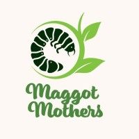 Maggot Mothers