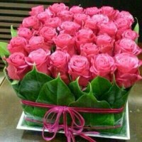 Ahmed Karem Ayoup