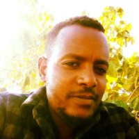 Kedir Beshir