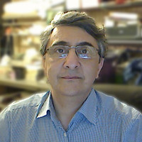 Majed Najjar