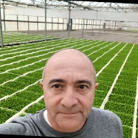 Casiano Martorell Grau