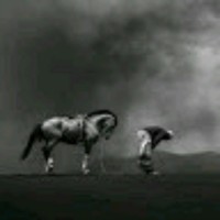 Aimal Rahemi