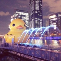姫野航平