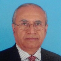 Raza Hussain Bandeali