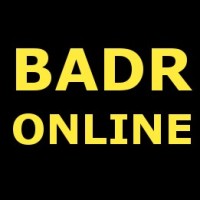 badr hanafi